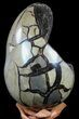 Septarian Dragon Egg Geode - Black Crystals #56399-2